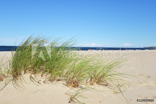 Picture of Sky over dunes